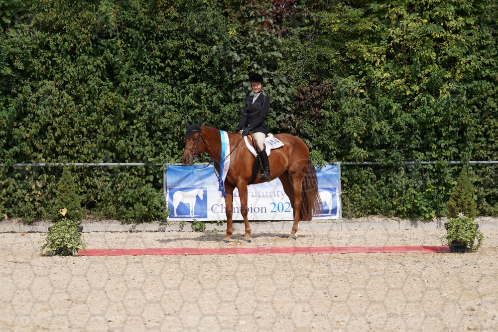 s_A9_09861.jpg